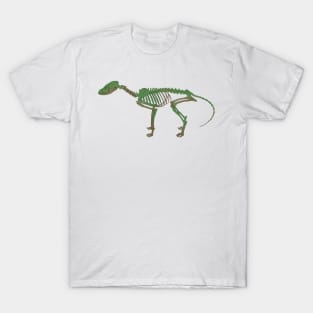 Fox Skeleton Aged Mossy T-Shirt